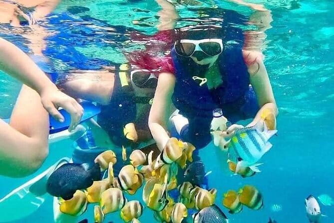 Monkey Bar and snorkling adventure at blue lagoon. - The one-hour stop at Monkey Bar at Bella Vista