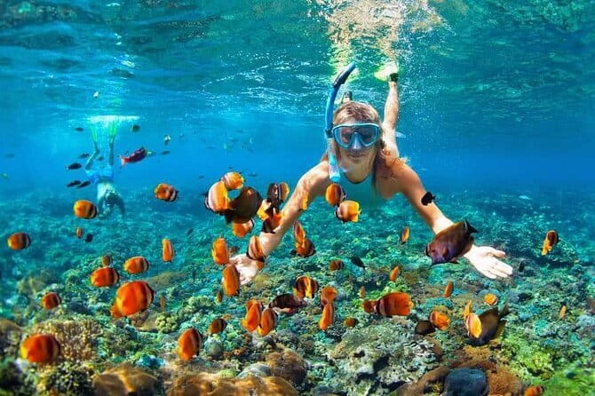 Monkey Bar and snorkling adventure at blue lagoon. - Should you book the Blue Lagoon and Monkey Bar tour?