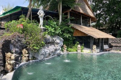 Monkey Forest, Holy Water Temple & Hot Springs Tours
