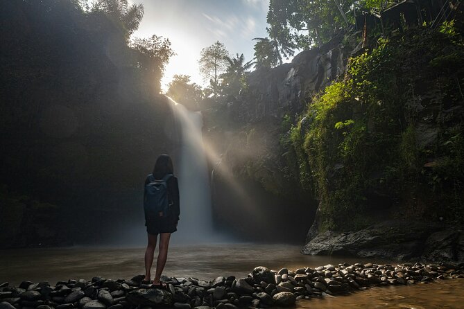 Monkey Forest, Temple, Waterfall and Rice Terrace in Ubud Tour - Tegalalang Rice Terrace and the classic Ubud view