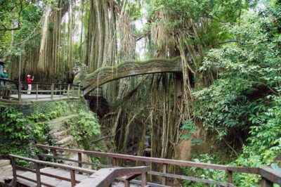 Monkey Forest Ubud Half day Tour