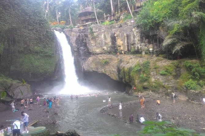 Monkey Forest, Ubud, Waterfall and Rice Terrace - Uma Pakel and Bali’s civet coffee story