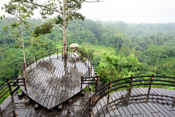Monkey Forest, Ubud, Waterfall and Rice Terrace - Celuk Village and Balinese silverwork