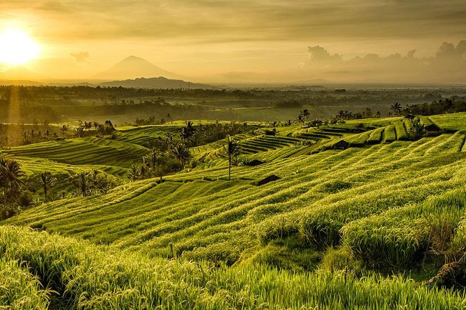 More Complete: Discover Bali In 3 Days Private Tour Package - Who should book this three-day plan?