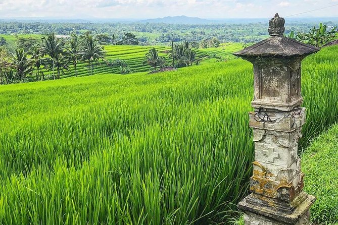 More Complete: Discover Bali In 3 Days Private Tour Package - Booking details worth checking