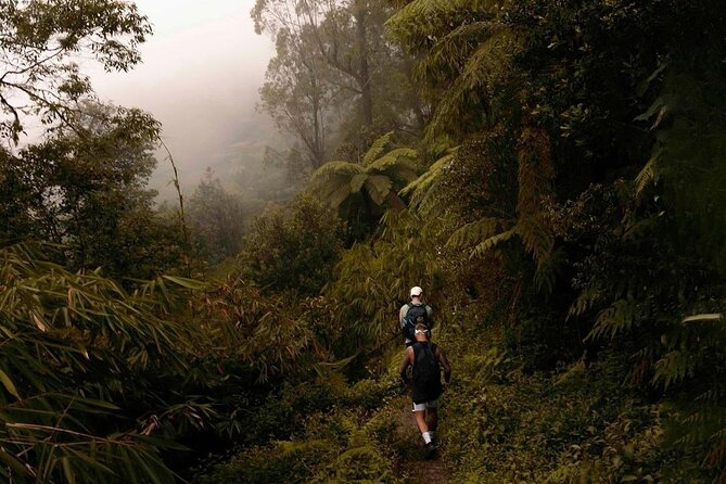 Mount Agung Sunrise Trekking with Local Guide - Is $99 a fair price?