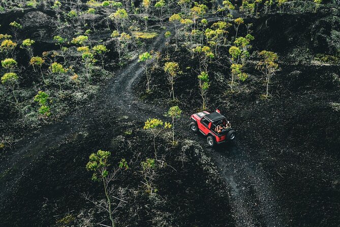 Mount Batur 4WD Jeep, Breakfast and Hot Spring All Inclusive - Why this Mount Batur tour is different