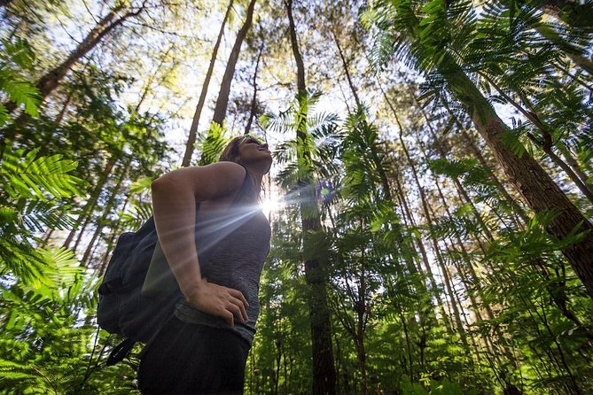 Mount Batur Sunrise Hike with Breakfast - The descent, photos, and volcanic ground