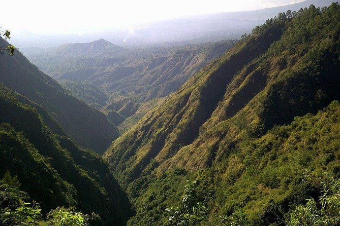 Mount Batur Sunrise Trekking and Rice Terrace Adventure - Coffee at Tegalalang Rice Terrace