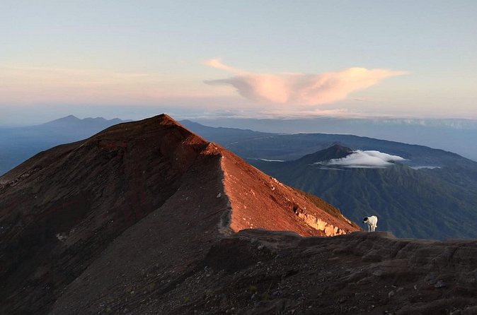 Mount Batur Sunrise Trekking, Hot Springs & Lunch at Restaurant - Who should book this experience?