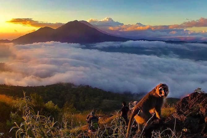 Mount Batur Sunrise Trekking With Breakfas - The optional coffee plantation stop