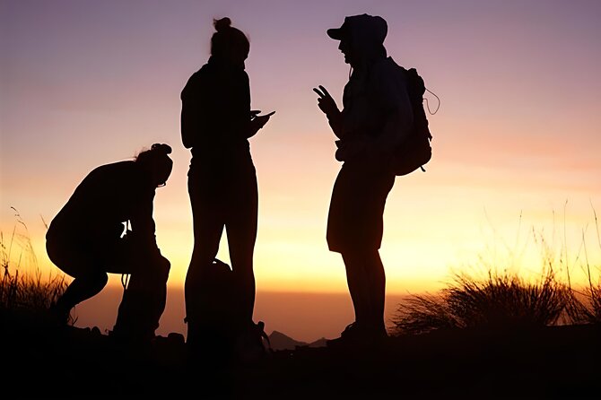 Mount Batur Sunrise Trekking with Natural Hot Springs - The 11:30 AM coffee plantation stop