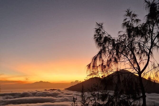 Mount Batur Sunrise Trekking with Optional Hot Spring - What the $10.40 price really gives you