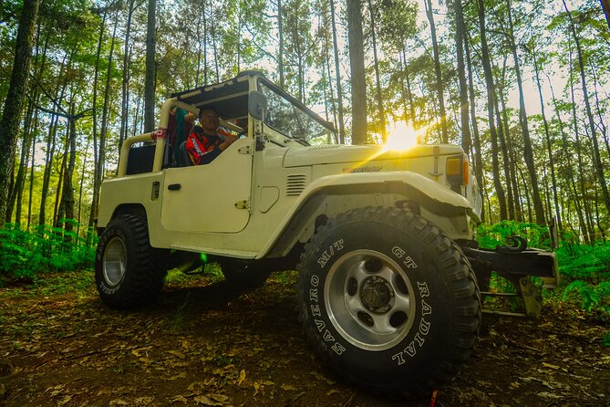 Mount Batur Trekking by 4wd Jeep - The 2:30 a.m. pickup from Ubud