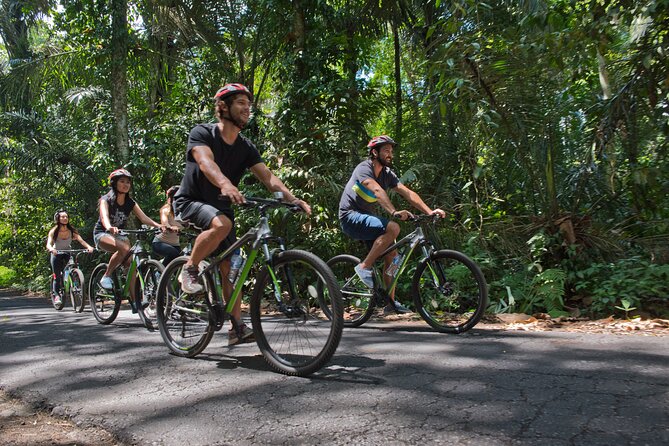 Mountain Cycling Tour - Is the downhill route really easy?