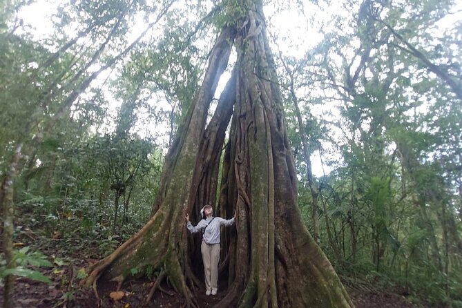 Munduk Twin Lake Jungle Trek with Sacred Forest Temples&Canoeing - Reaching Lake Tamblingan on foot