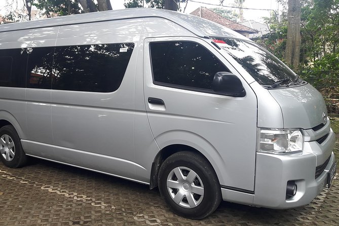 Ngurah Rai International Airport Private Arrival Transfer - Who should book this transfer?