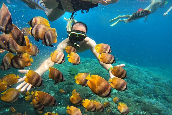No:#1. Penida Island Tour And Snorkeling With Manta - Manta Bay and the search for giant rays