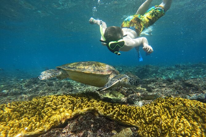 No:#1. Penida Island Tour And Snorkeling With Manta - Crystal Bay, Gamat Bay, and Wall Bay Point