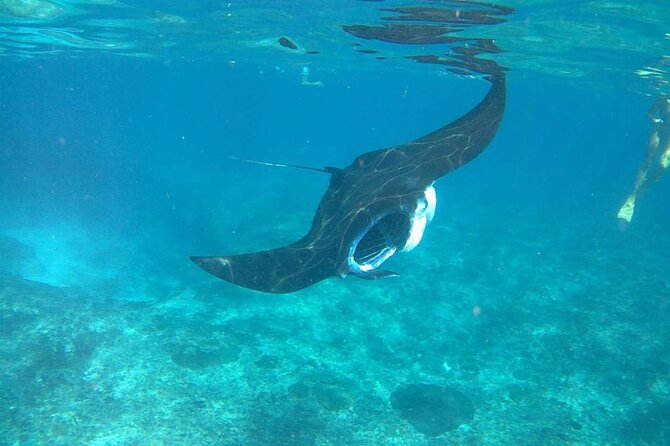 No:#1. Penida Island Tour And Snorkeling With Manta - Indonesian lunch and the value of the package