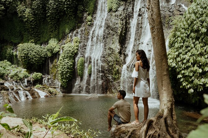 North Bali Hidden Gems Tour Ulun Danu Temple Twin Lakes Waterfall - Who will get the most from this tour