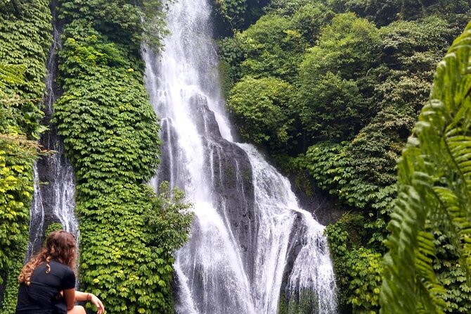 North Bali Hidden Gems Tour Ulun Danu Temple Twin Lakes Waterfall - Handara Gate and the value of a short stop