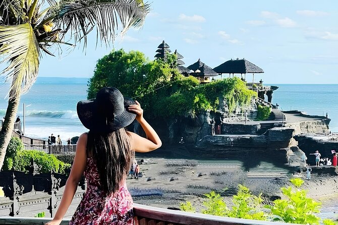 North Bali Nature Escape Rice Terraces, Temples & Waterfall - What this North Bali day trip really delivers