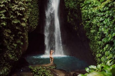 North Bali Nature Escape Rice Terraces, Temples & Waterfall