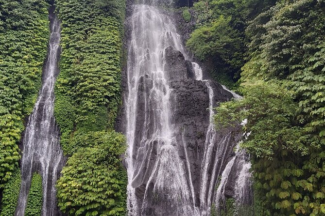 North Bali Private Tour - All Inclusive - Banyumala Twin Waterfalls Requires Real Footwork