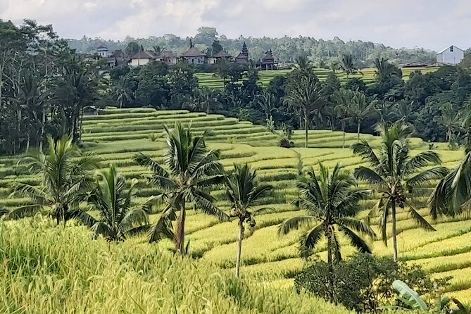 North Bali Private Tour - All Inclusive - The Guides Make the Private Format Useful