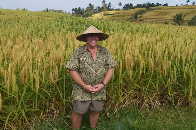 North Bali Private Tour - All Inclusive - What the $71 Price Really Covers