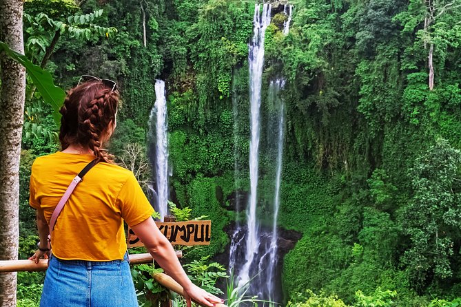 North Bali: Sekumpul Waterfalls and Ulun Danu Temple Tour - The long day and the comfort-break problem