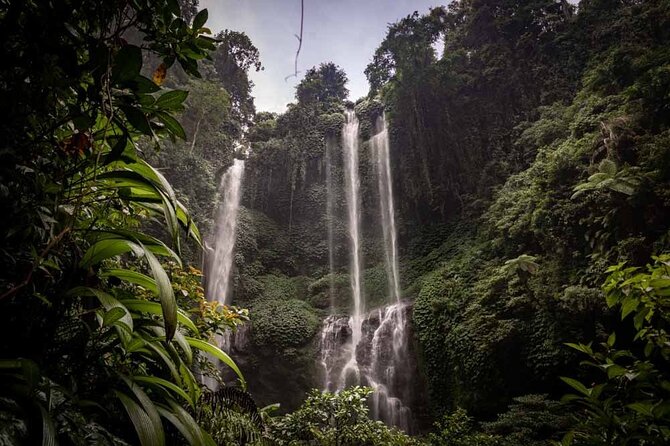 North Bali Tour: Banyumala Waterfall & Wanagiri Hidden Hills - Key points to know before booking
