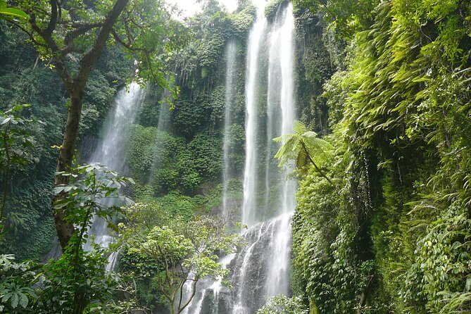 North Bali Tour: Banyumala Waterfall & Wanagiri Hidden Hills - Why this North Bali day trip works from Ubud