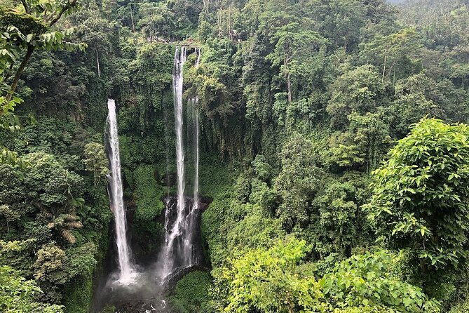 North Bali Tour: Banyumala Waterfall & Wanagiri Hidden Hills - Wanagiri Hidden Hills and its famous Bali swing