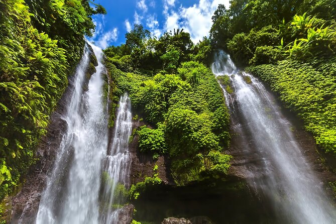 North Bali Tour: Banyumala Waterfall & Wanagiri Hidden Hills - Kayu Putih and the Bayan Ancient Tree