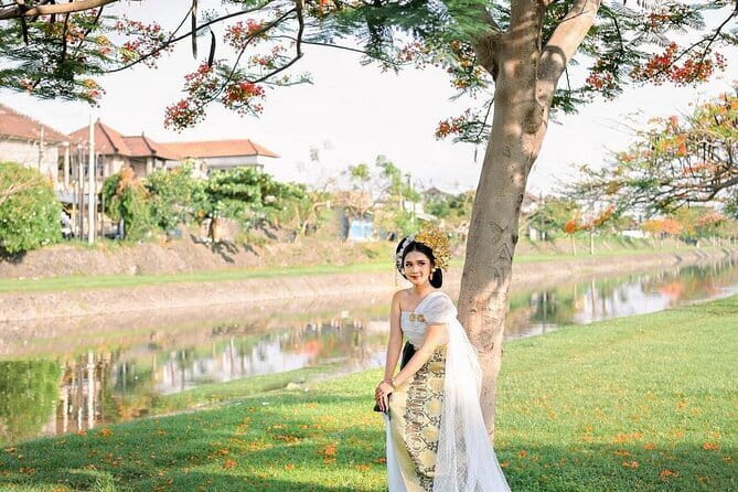 Northern Bali Highlights + Unesco Scenic Heritage Rice Terrace. - The $70 price and what it covers