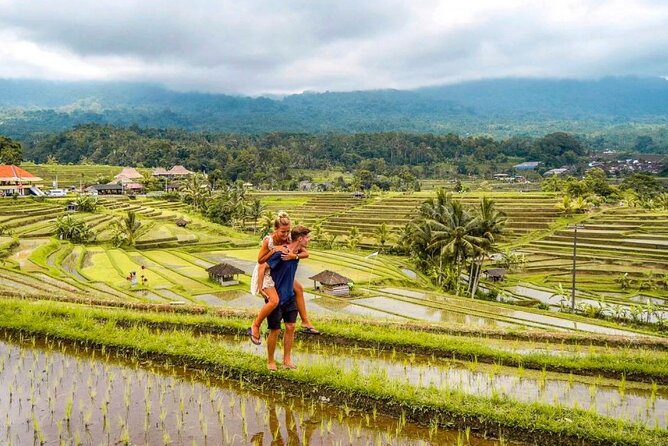 Northern Bali Tour - Private Full Day Tour - All Inclusive - Taman Ayun Temple and Mengwi’s royal setting