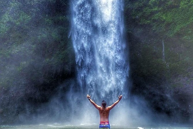 Nungnung Waterfall,Jatiluwih Heritage UNESCO and Bedugul Tour - Why this four-person private trip works