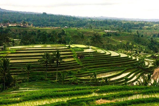 Nungnung Waterfall,Jatiluwih Heritage UNESCO and Bedugul Tour - Nungnung Waterfall: a cool start in Bali’s hills