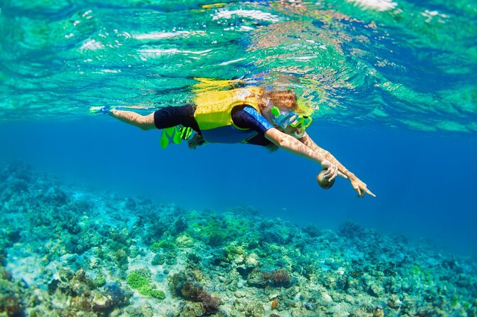 Nusa Lembongan Island: Snorkeling & Mangrove Forest Day Tour - The early hotel pickup and Sanur crossing