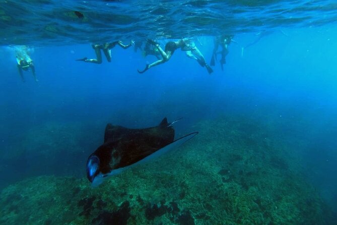 Nusa Penida 4 Spot Snorkeling with Manta and Island Tour - Key Points to Know Before You Book