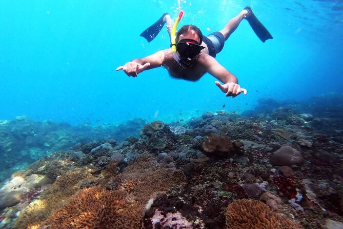 Nusa Penida 4 Spot Snorkeling with Manta and Island Tour - What the $99 Price Really Covers
