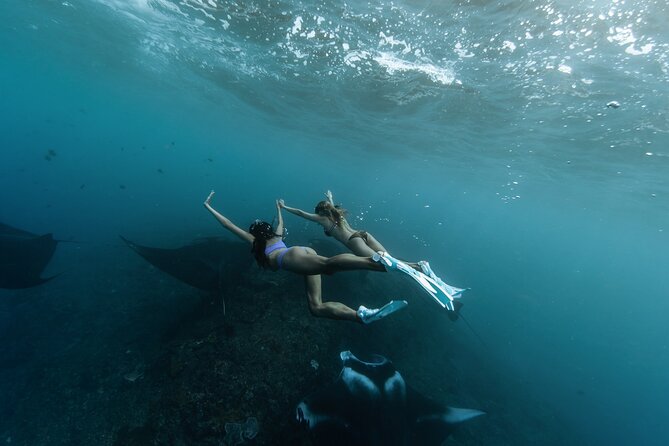 ️Nusa Penida by Private Boat - Snorkeling 4 spots, Swim with Mantas + Land Tour - The day in six useful points