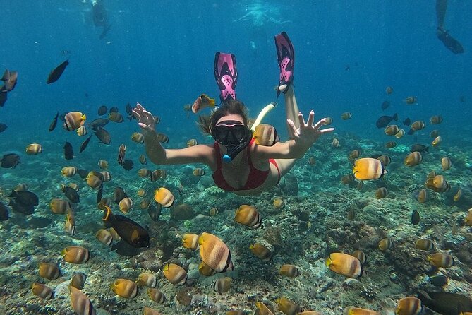 ️Nusa Penida by Private Boat - Snorkeling 4 spots, Swim with Mantas + Land Tour - Starting at Serangan with coffee and a welcome drink