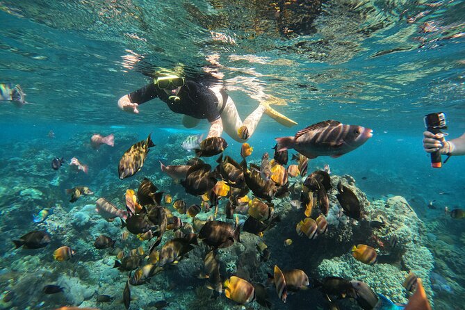 Nusa-Penida customize Tour - All inclusive - What the guides do well