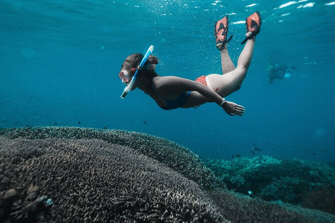 Nusa Penida day trip: boat, 4 snorkeling, Manta rays & Land tour - Starting at Sanur before the island rush