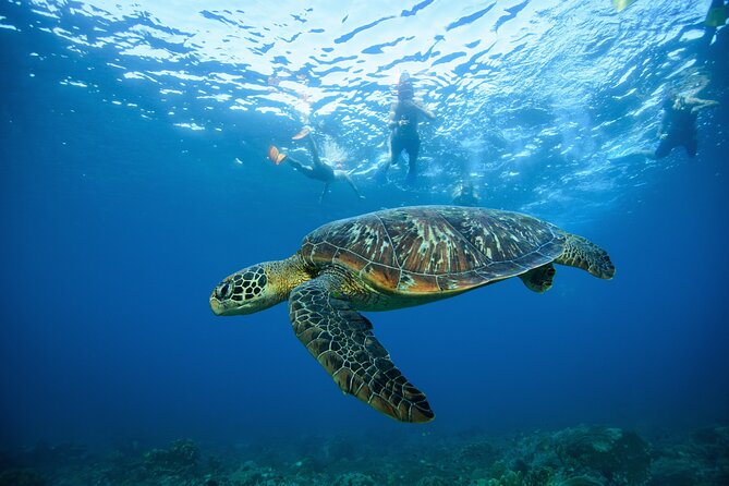 Nusa Penida day trip: boat, 4 snorkeling, Manta rays & Land tour - SD Point and the coral garden