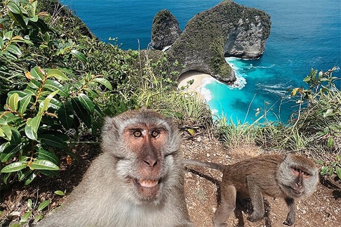 Nusa Penida day trip: boat, 4 snorkeling, Manta rays & Land tour - Safety, equipment, and the realities of open water