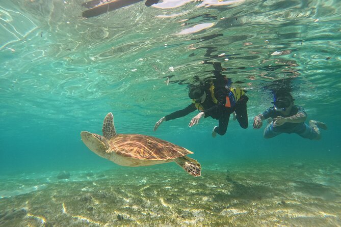 Nusa Penida & Gili Trawangan 3Days 2Night (Snorkeling) - Lunch, sunset, and two nights in a bungalow